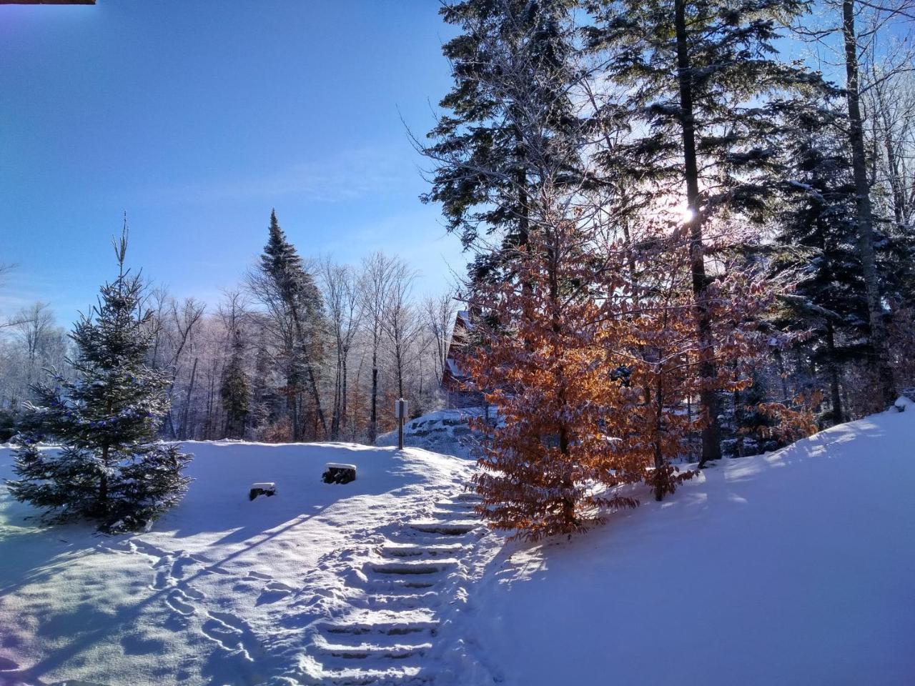 Chalet F116 Mont-Tremblant Nord Lac-Superieur Dış mekan fotoğraf